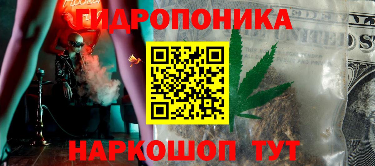 Каннабис гибрид Новокубанск